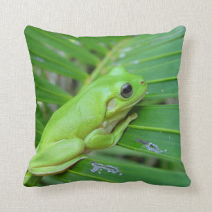Almofada Sapo Verde