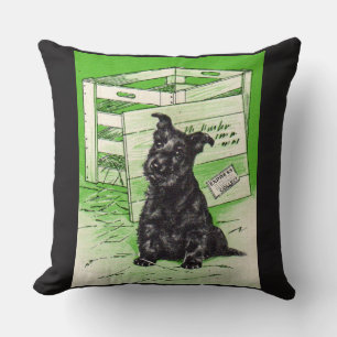 Almofada Scottie dog por entrega especial
