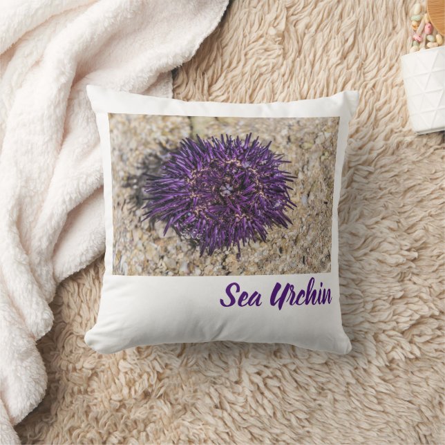 Almofada Sea Urchin Ocean Beach Holiday Summer Souvenir (Cobertor)