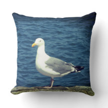 Seagull No Compartimento