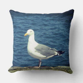 Almofada Seagull No Compartimento