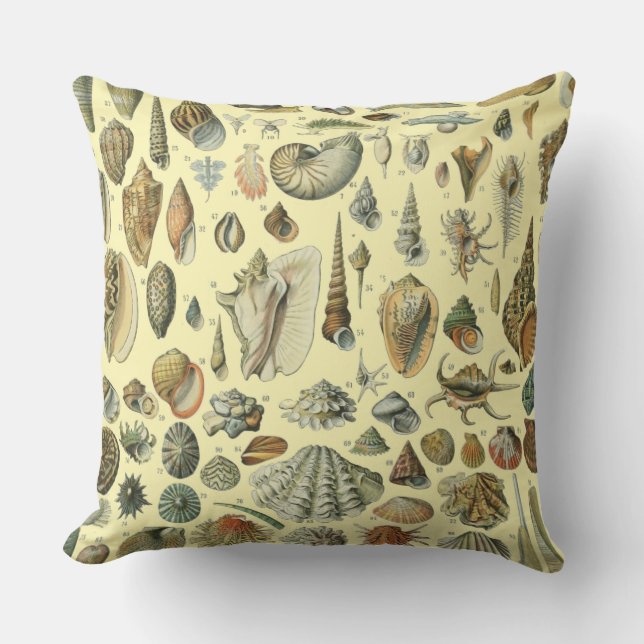Almofada Seashell Shell Mollusk Clam Elegant Clam Art (Frente)