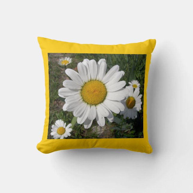 Almofada Shasta Daisies (Chrysanthemum maximum) (Frente)