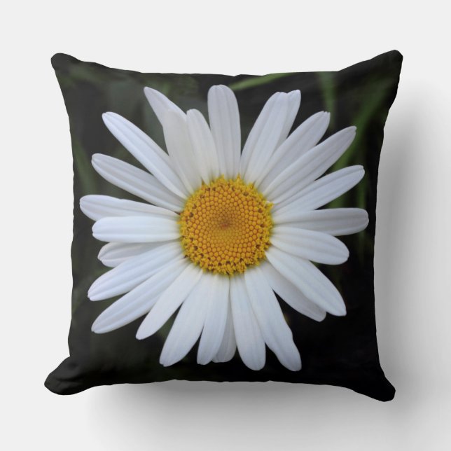 Almofada Shasta Daisy 01 (Frente)