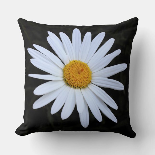 Almofada Shasta Daisy 02 (Frente)