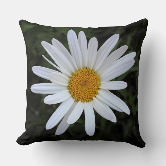 Almofada Shasta Daisy 03 (Frente)