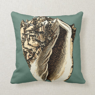 Almofada Shell de Conch Teal