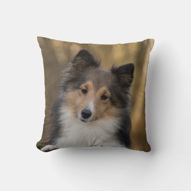 Almofada Sheltie Adorável (Frente)