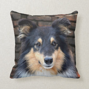Almofada Sheltie Tricolor