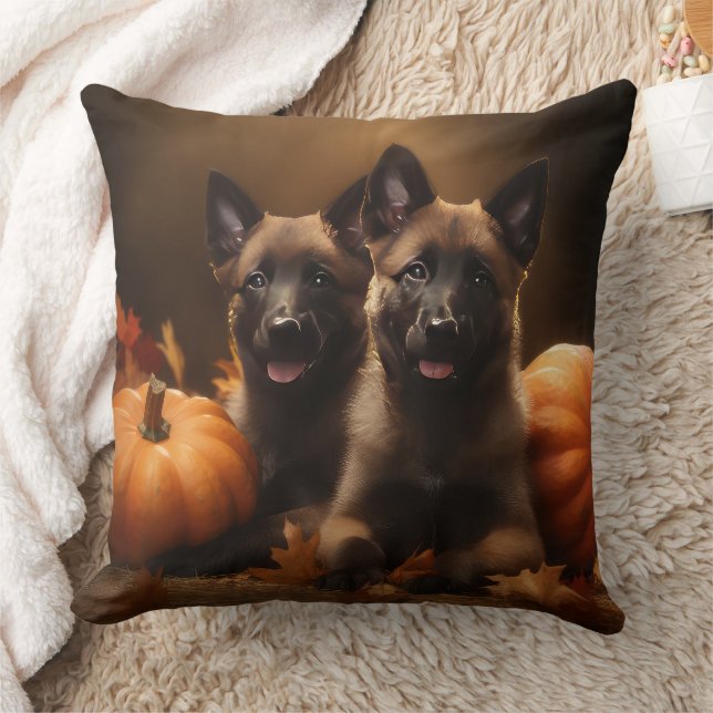 Almofada Shepherd Belga Puppy Autumn Delight Pumpkin (Cobertor)