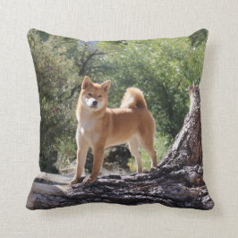 Almofada Shiba Inu