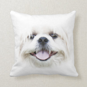 Almofada Shih Tzu enfrenta