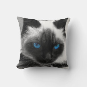 Almofada Siamese Cat