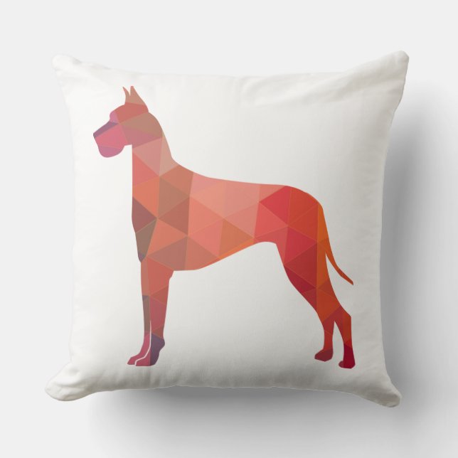 Almofada Silhuette de padrão geométrico colorido grande dan (Frente)