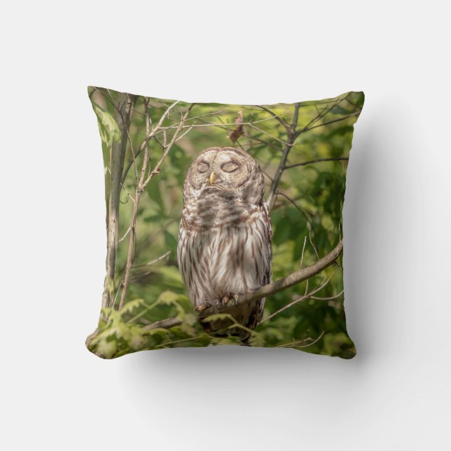 Almofada Sleepy Barred Owl (Frente)