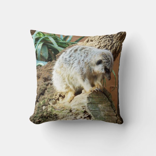 Almofada Sleepy Meerkat, (Frente)