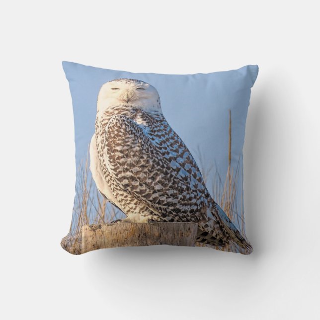 Almofada Snowy Owl - travesseiro (Frente)