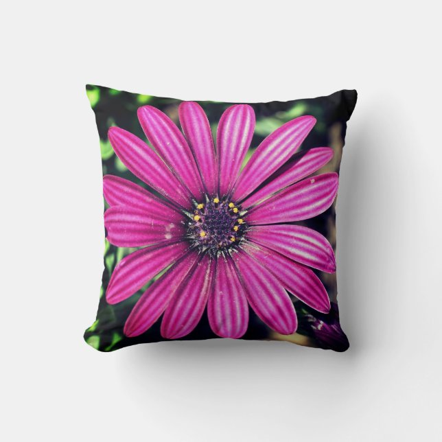 Almofada Solteiro Purple African Daisy Flower (Frente)
