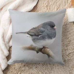 Almofada Songbird de junco de olhos escuros em árvore