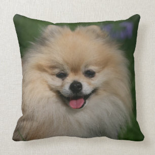 Almofada Sorriso de Pomeranian