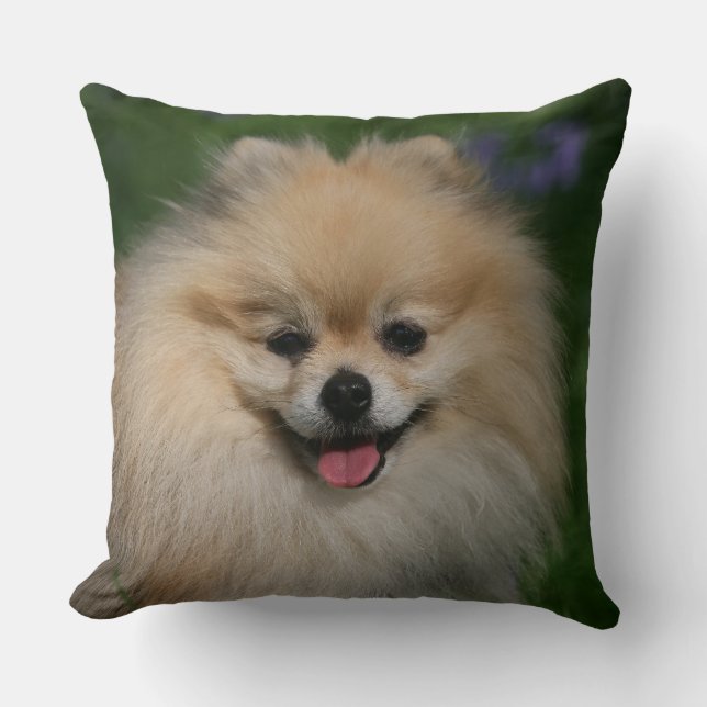 Almofada Sorriso de Pomeranian (Frente)