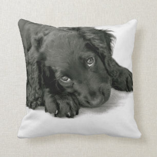 Almofada Spaniel Dave de Sprocker