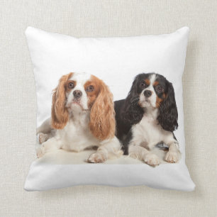 Almofada Spaniel de rei Charles descuidado
