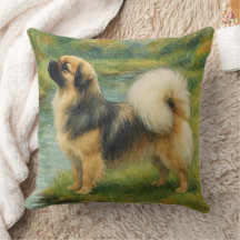 Spaniel Tibetano