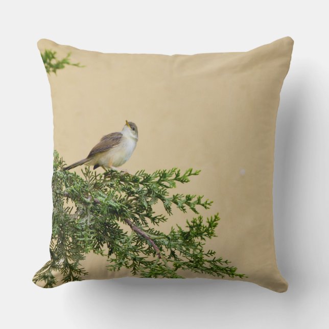 Almofada Sparrow (Frente)