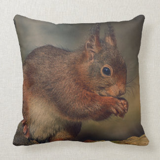 Almofada Squirrel