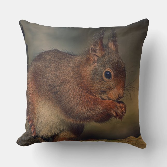 Almofada Squirrel (Frente)