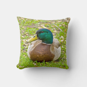 Almofada Sr. Mallard, o Pato