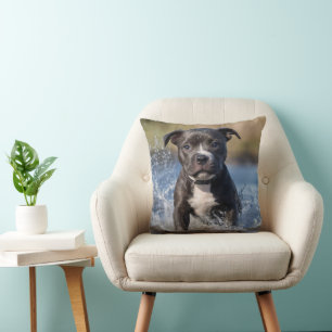 Almofada Staffy Puppy A Espalhar No Mar,