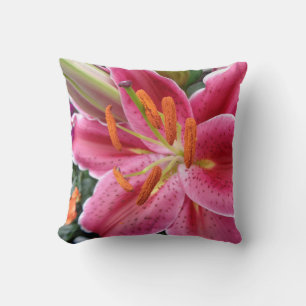 Almofada Stargazer
