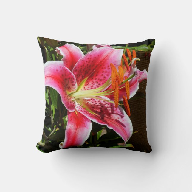 Almofada Stargazer Lily Fotografia (Frente)