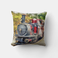 STEAM TRAIN