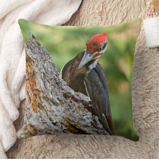Almofada Stunning Portrait of Pileated Woodpecker in Tree