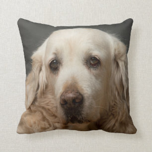 Almofada Sua Foto Pet Personalizada Reversible