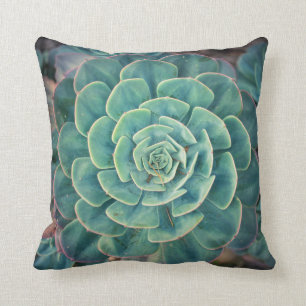 Almofada Succulent do Fim-acima