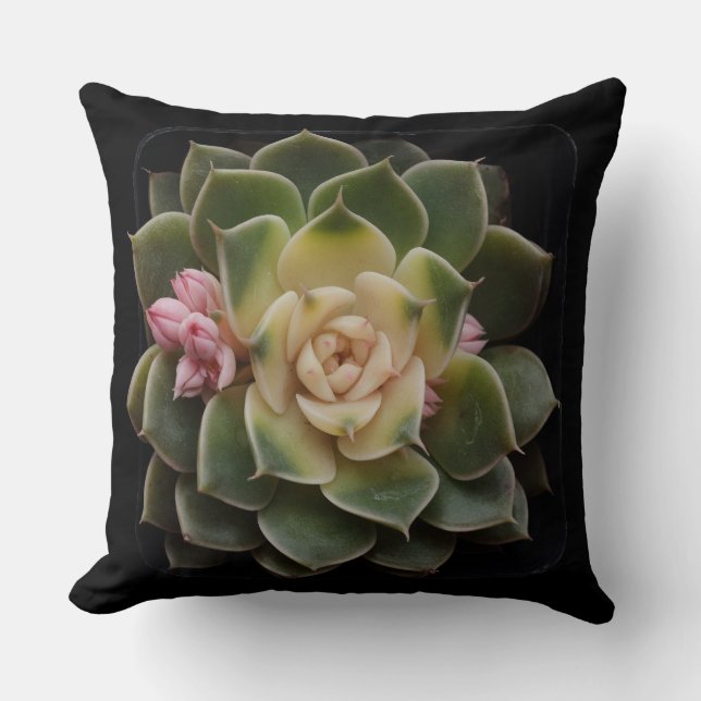 Almofada Suculente (Frente)