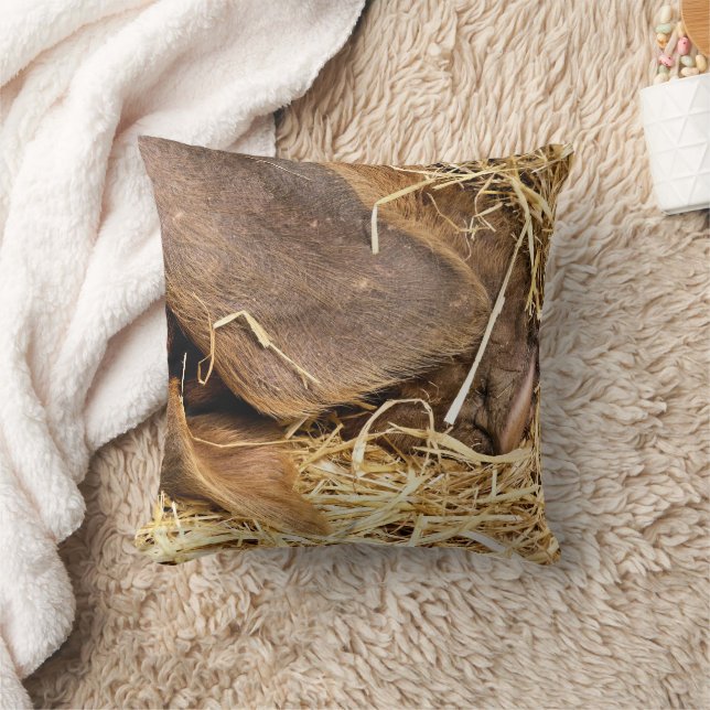 ALMOFADA SUÍNOS (Cobertor)