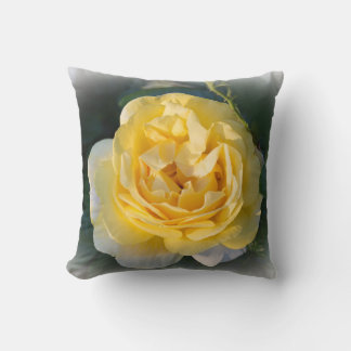 Almofada Sunny Rosa