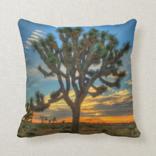 Almofada Sunrise No Parque Nacional Joshua Tree