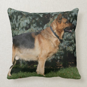 Almofada Suporte da mostra do german shepherd