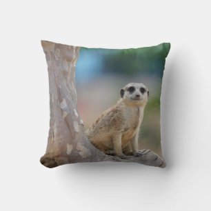 Almofada Suricata Fofa Sentada na Árvore