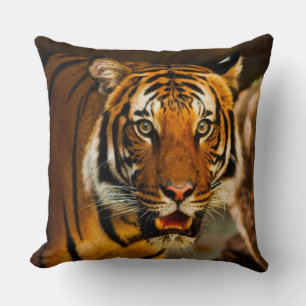 Almofada Surpreendente armação de Tigre