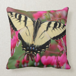 Almofada Swallowtail oriental 2