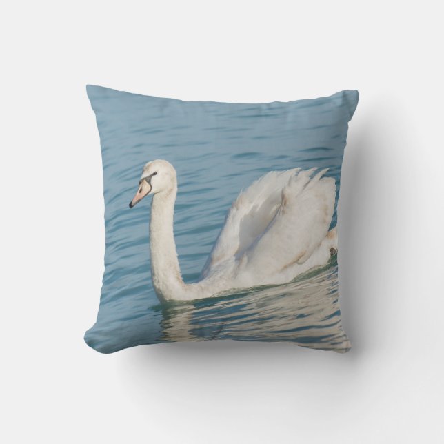 Almofada Swan (Frente)