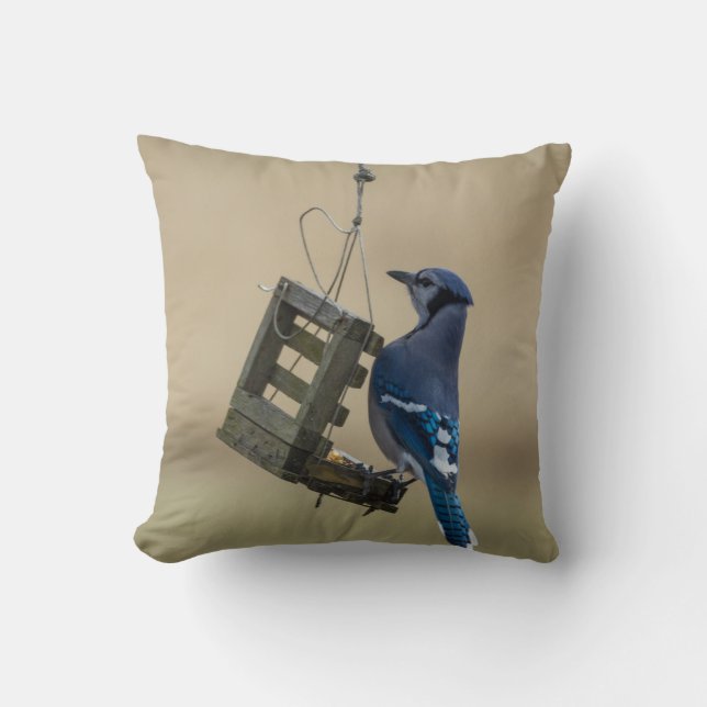 Almofada Swing Blue Jay (Frente)