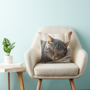 Almofada Tabby Cat Dormindo Na Filha Antiga